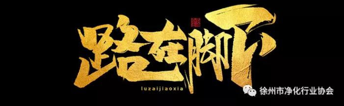 如何拓展社会组织党组织和党员发挥作用的途径