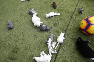 西甲马德里竞技直播_高清免费观看_马德里竞技比赛回放视频集锦